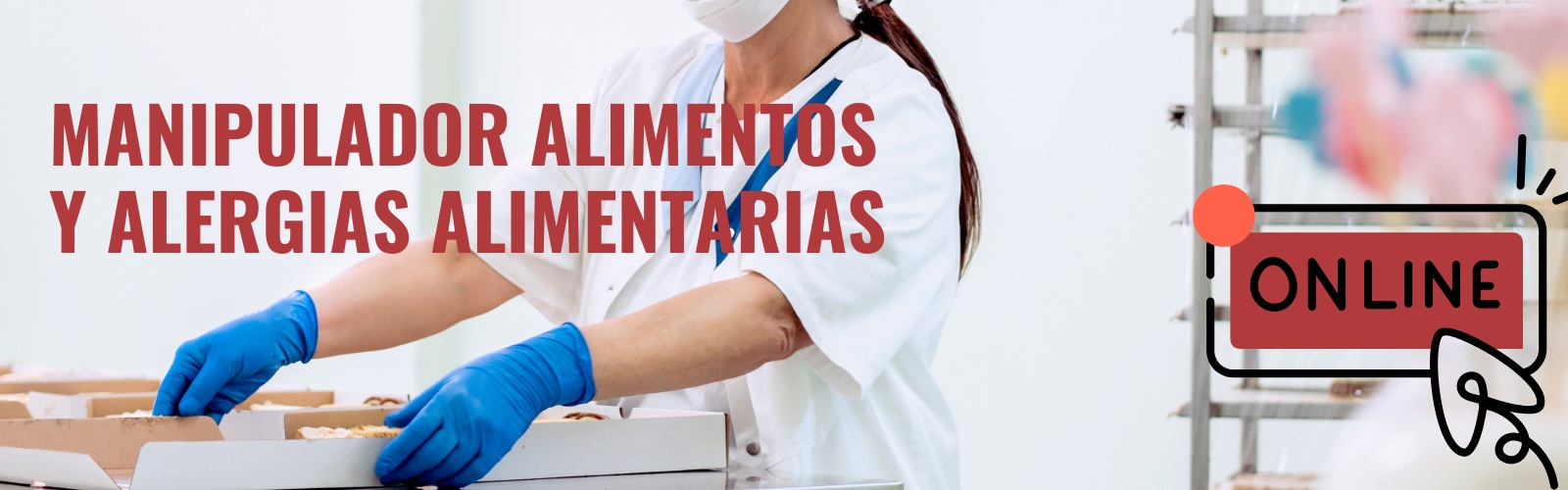 MANIPULADOR ALIMENTS